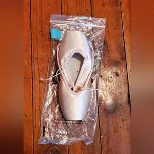 Grishko | Other | Brand New Grishkonikolay Nova Pointe Shoes 5xxxx